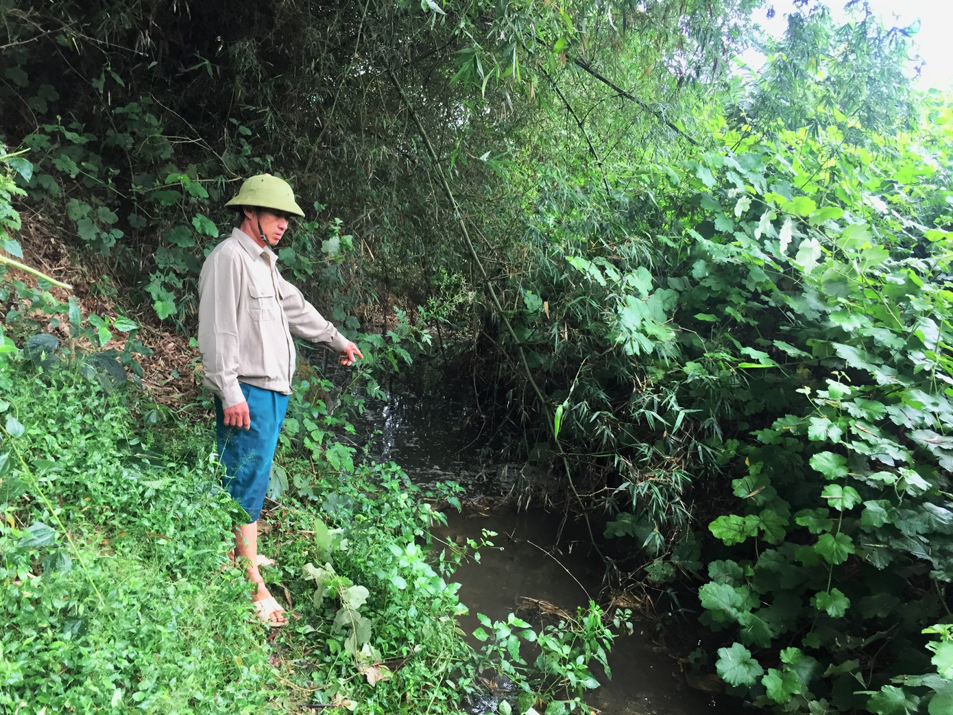 Nơm nớp lo chất thải từ trại lợn 'bức tử' dòng nước đầu nguồn ảnh 3