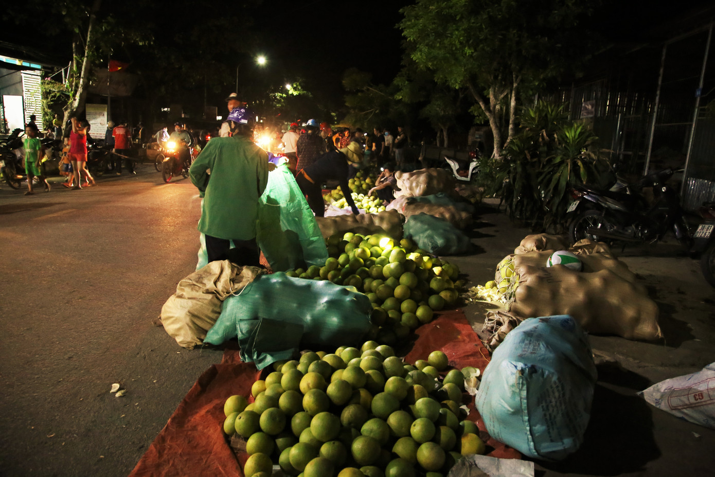 Bưởi đặc sản vào vụ, trăm người soi đèn thức trắng bán ở chợ đêm ảnh 8