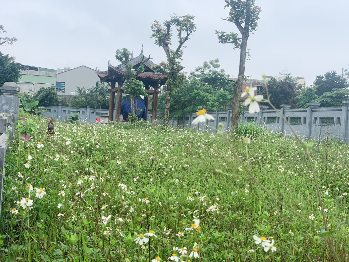 Công trình Văn Miếu gần 80 tỉ ở Hà Tĩnh xây xong không có đường vào ảnh 9