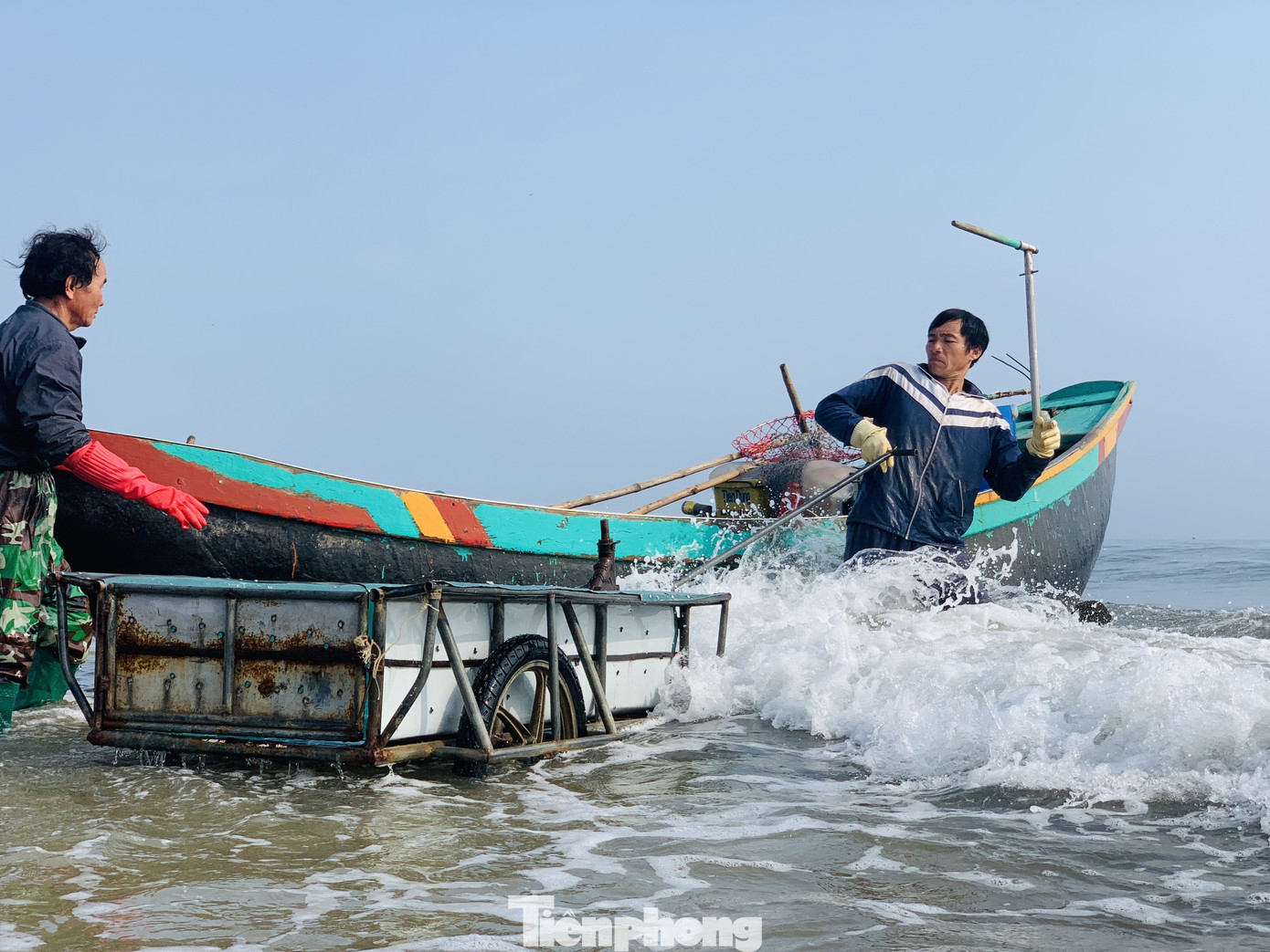 Vào mùa sứa biển, ngư dân kiếm tiền triệu mỗi ngày ảnh 1