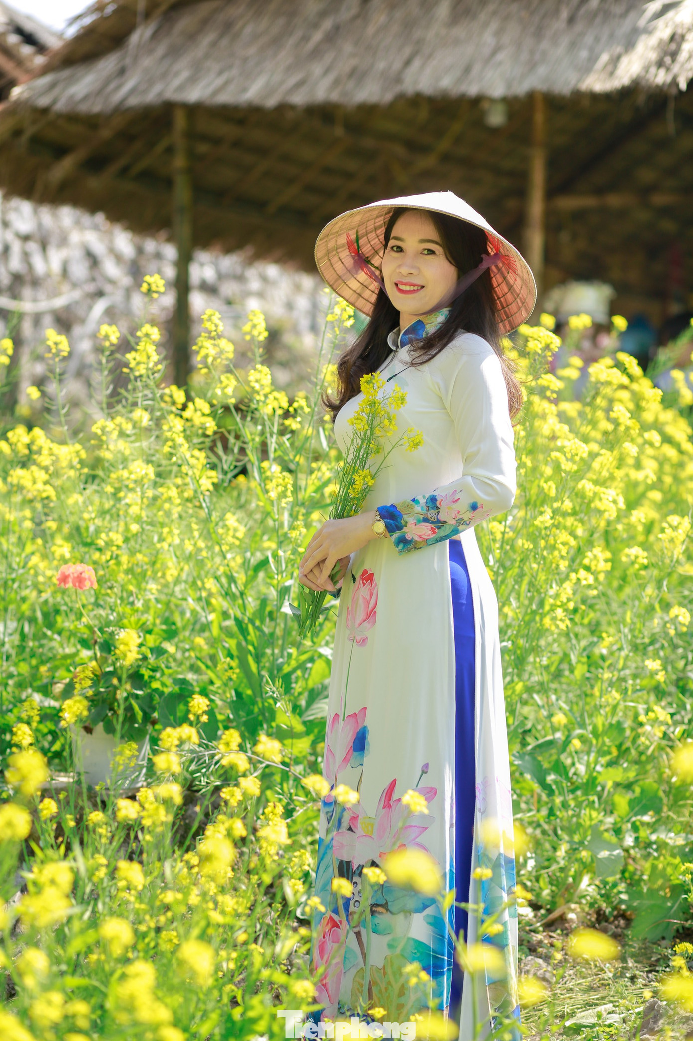 Ngắm tà áo dài thướt tha bên sắc vàng hoa cải nơi độ cao 1500m ảnh 3