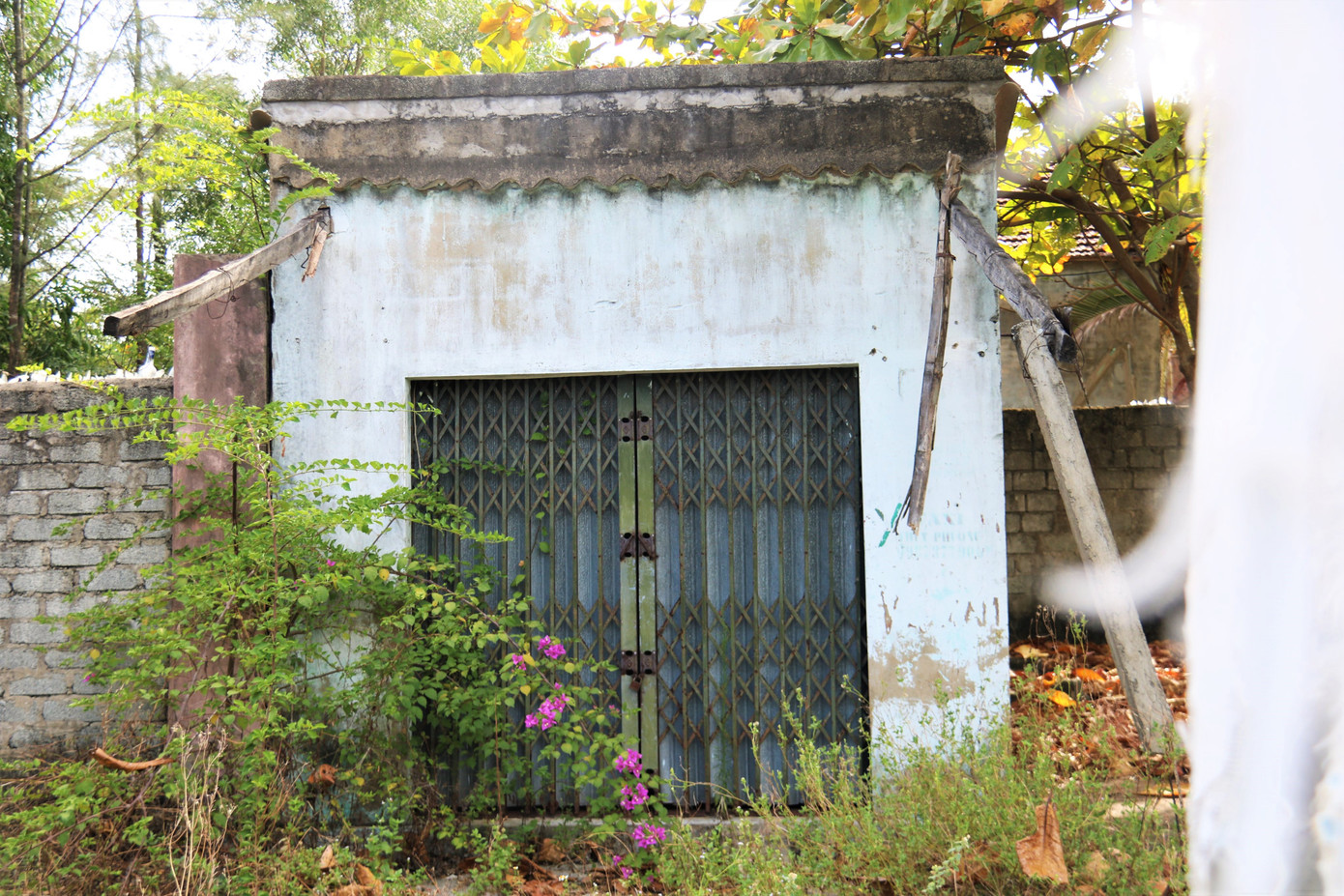 Cảnh hoang tàn ở khu du lịch biển Xuân Thành ảnh 6