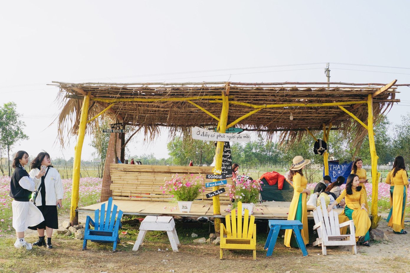 Cánh đồng hoa sao nhái ở Hà Tĩnh thu hút đông bạn trẻ đến chụp hình ảnh 9