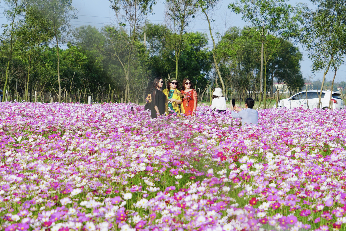 Cánh đồng hoa sao nhái ở Hà Tĩnh thu hút đông bạn trẻ đến chụp hình ảnh 3