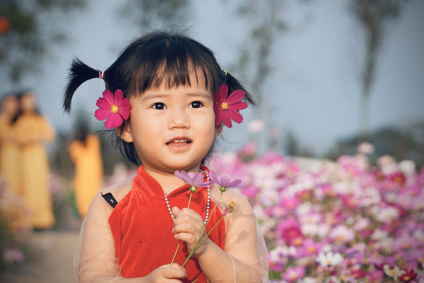 Cánh đồng hoa sao nhái ở Hà Tĩnh thu hút đông bạn trẻ đến chụp hình ảnh 5