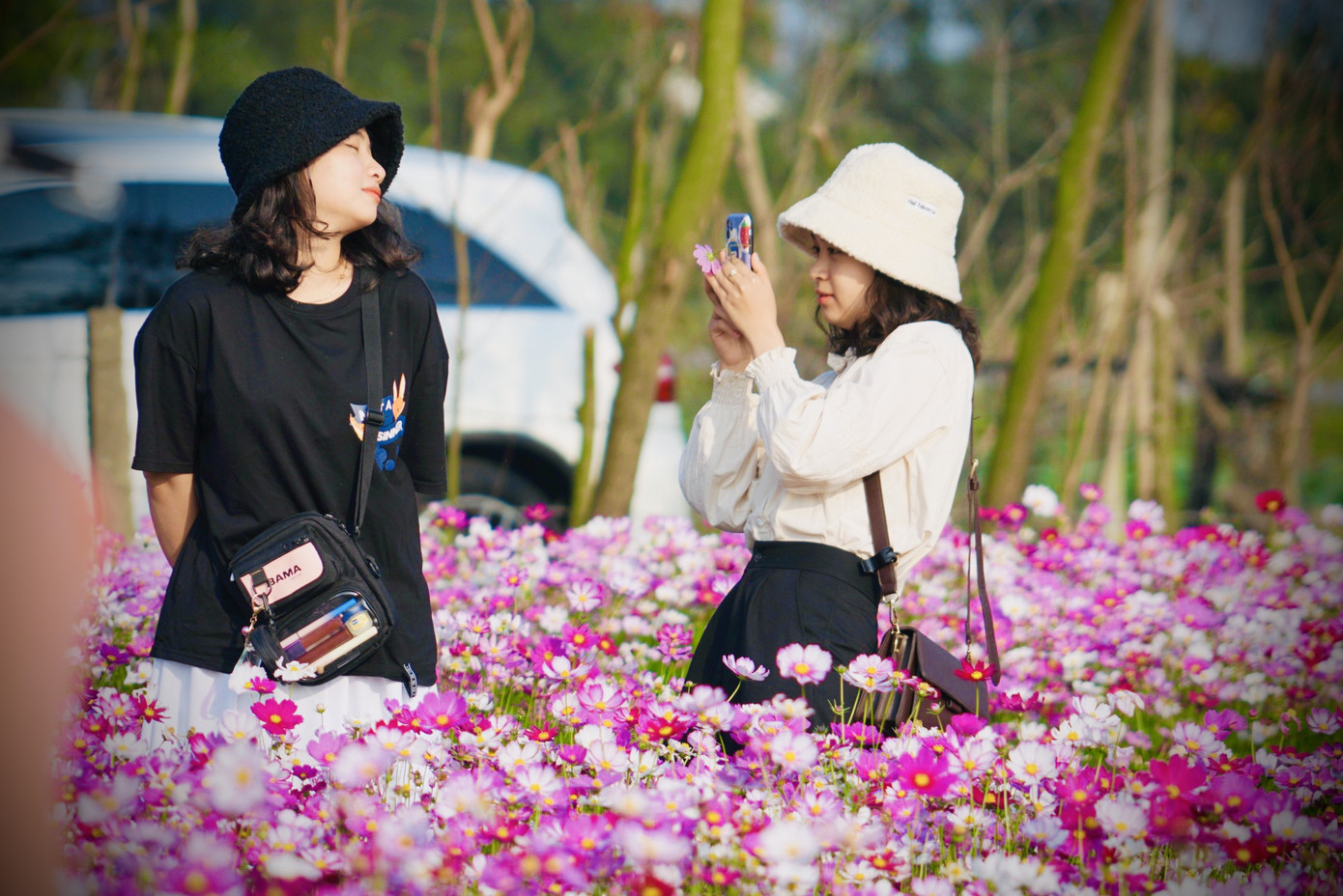 Cánh đồng hoa sao nhái ở Hà Tĩnh thu hút đông bạn trẻ đến chụp hình ảnh 4