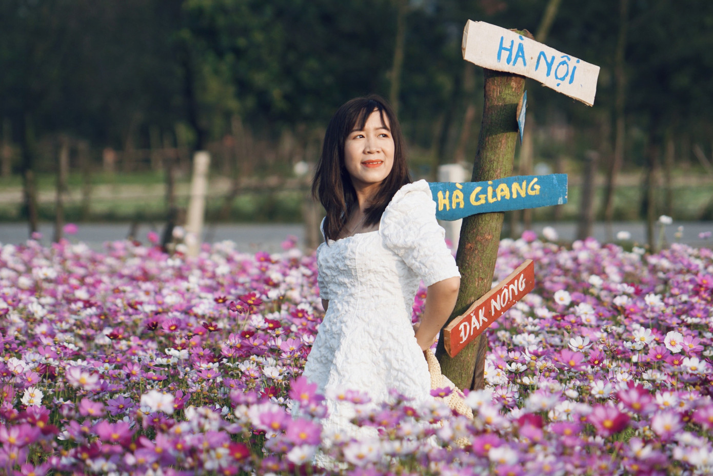 Cánh đồng hoa sao nhái ở Hà Tĩnh thu hút đông bạn trẻ đến chụp hình ảnh 12