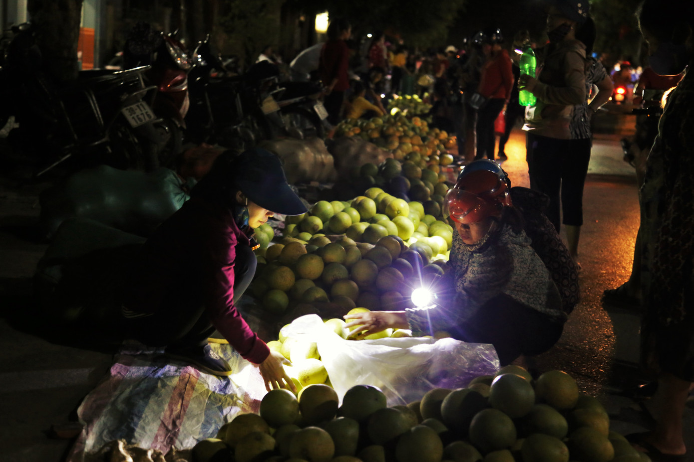 Bưởi đặc sản vào vụ, trăm người soi đèn thức trắng bán ở chợ đêm ảnh 11