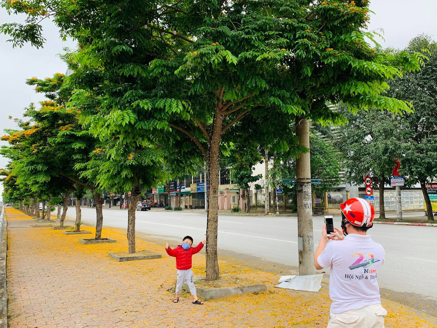 Đẹp nao lòng những chùm giáng hương vàng rực ở thành Vinh ảnh 5