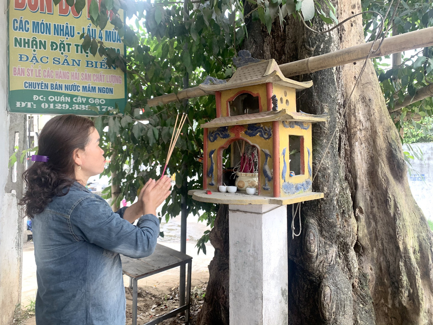 Cả làng góp tiền cứu 'cụ gạo' hơn 200 tuổi ở xứ Nghệ ảnh 3