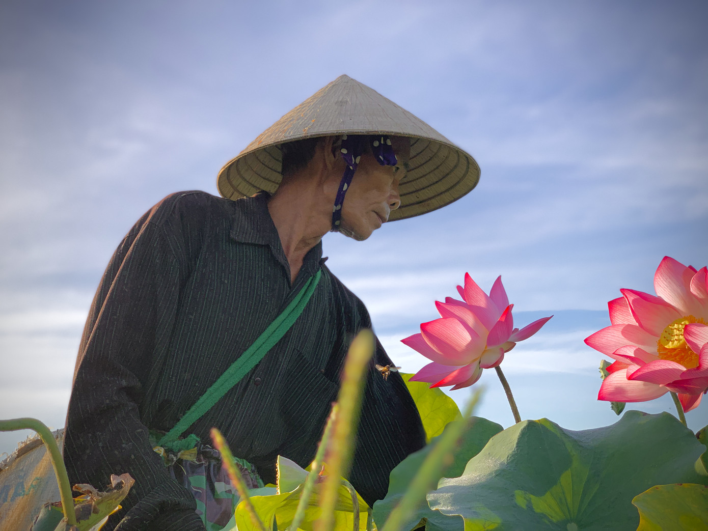 'Biến' đồng hoang thành đầm sen, nông dân thu hàng chục triệu mỗi vụ ảnh 17