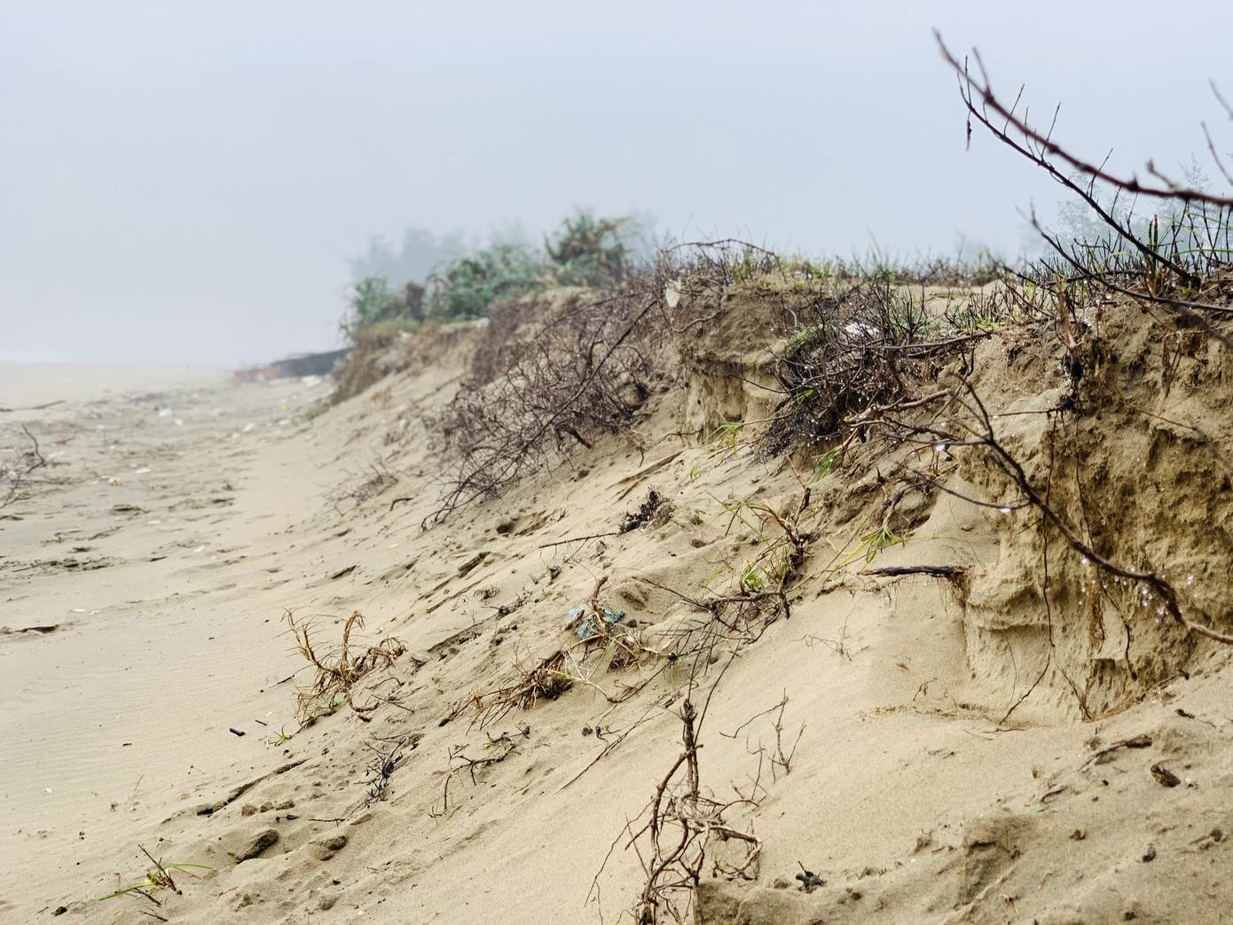 Biển lấn làng, hàng ngàn hộ dân sống trong bất an ảnh 3