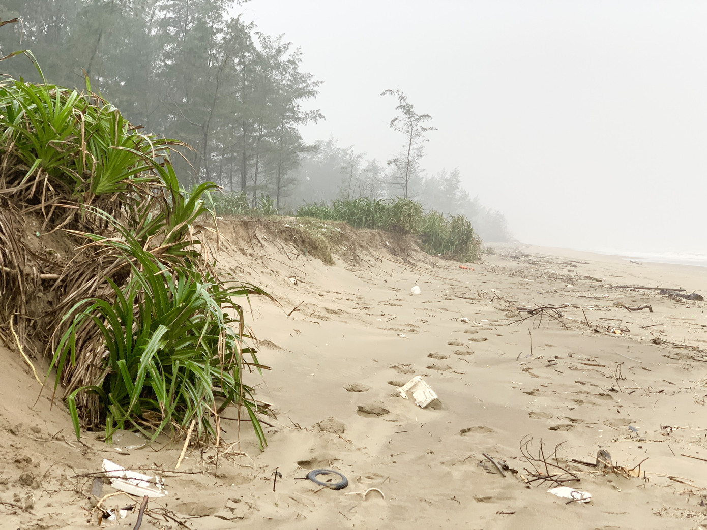 Biển lấn làng, hàng ngàn hộ dân sống trong bất an ảnh 1