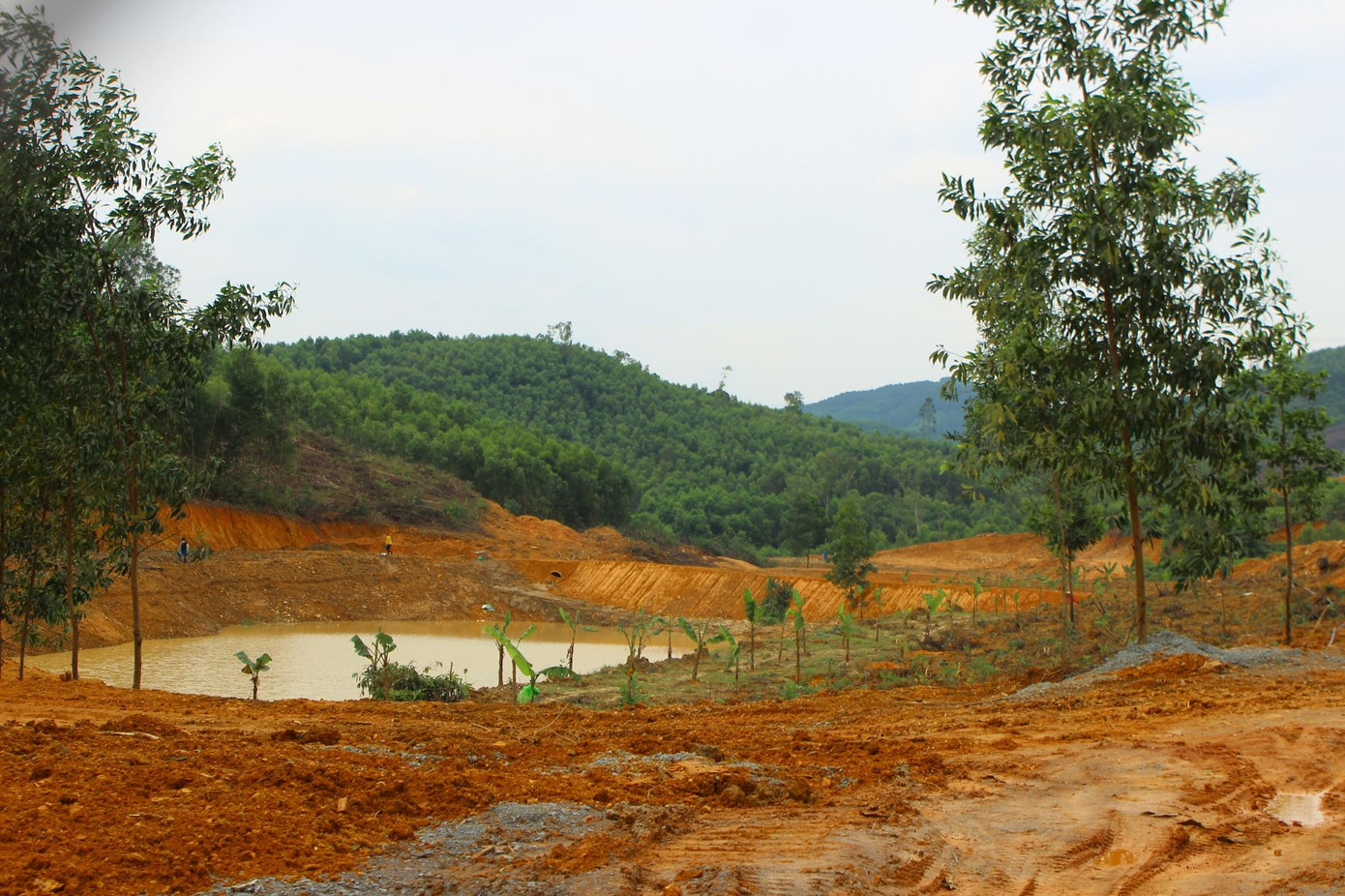 Chủ rừng tự ý xẻ đồi xây khu sinh thái 'chui' trên đất lâm nghiệp? ảnh 5