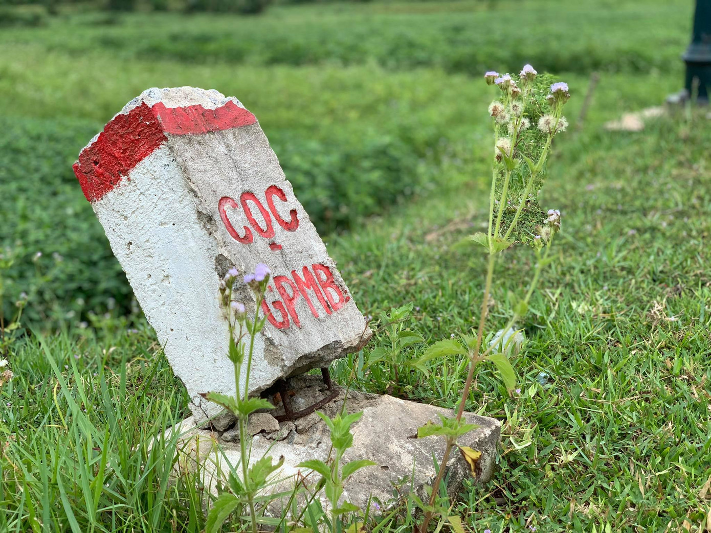 Vụ cháu bé rơi xuống hố ga không nắp tử vong: Ai nhận trách nhiệm? ảnh 5