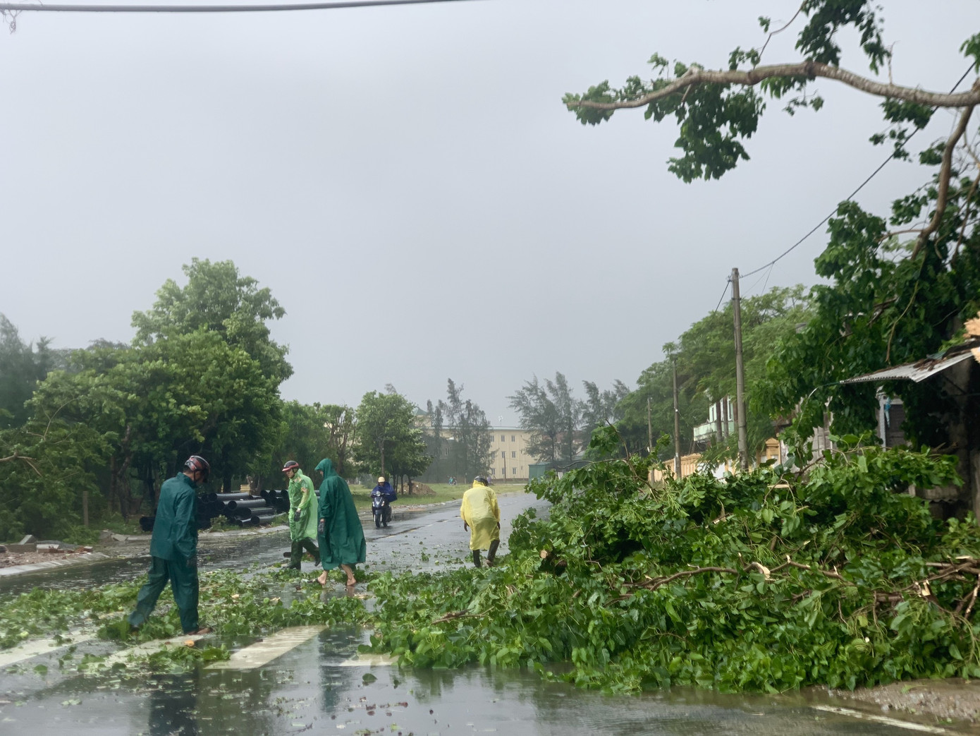 Mưa trắng trời TP Vinh ngập sâu, Hà Tĩnh cây cối gãy đổ, nhà cửa tốc mái ảnh 3