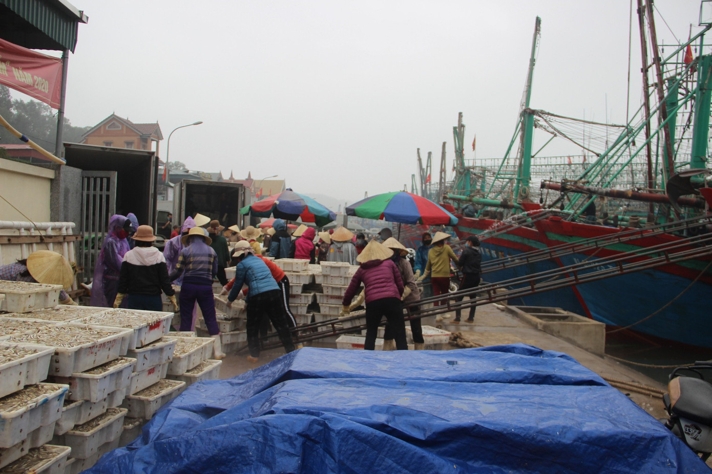 Ngư dân Nghệ An trúng đậm cá trỏng phục vụ thị trường Tết ảnh 8