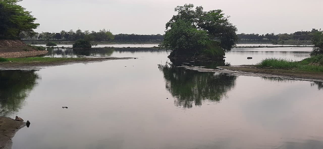 Hàng loạt hồ điều hoà ở Nghệ An ô nhiễm nặng, người dân ngán ngẩm cầu cứu ảnh 3