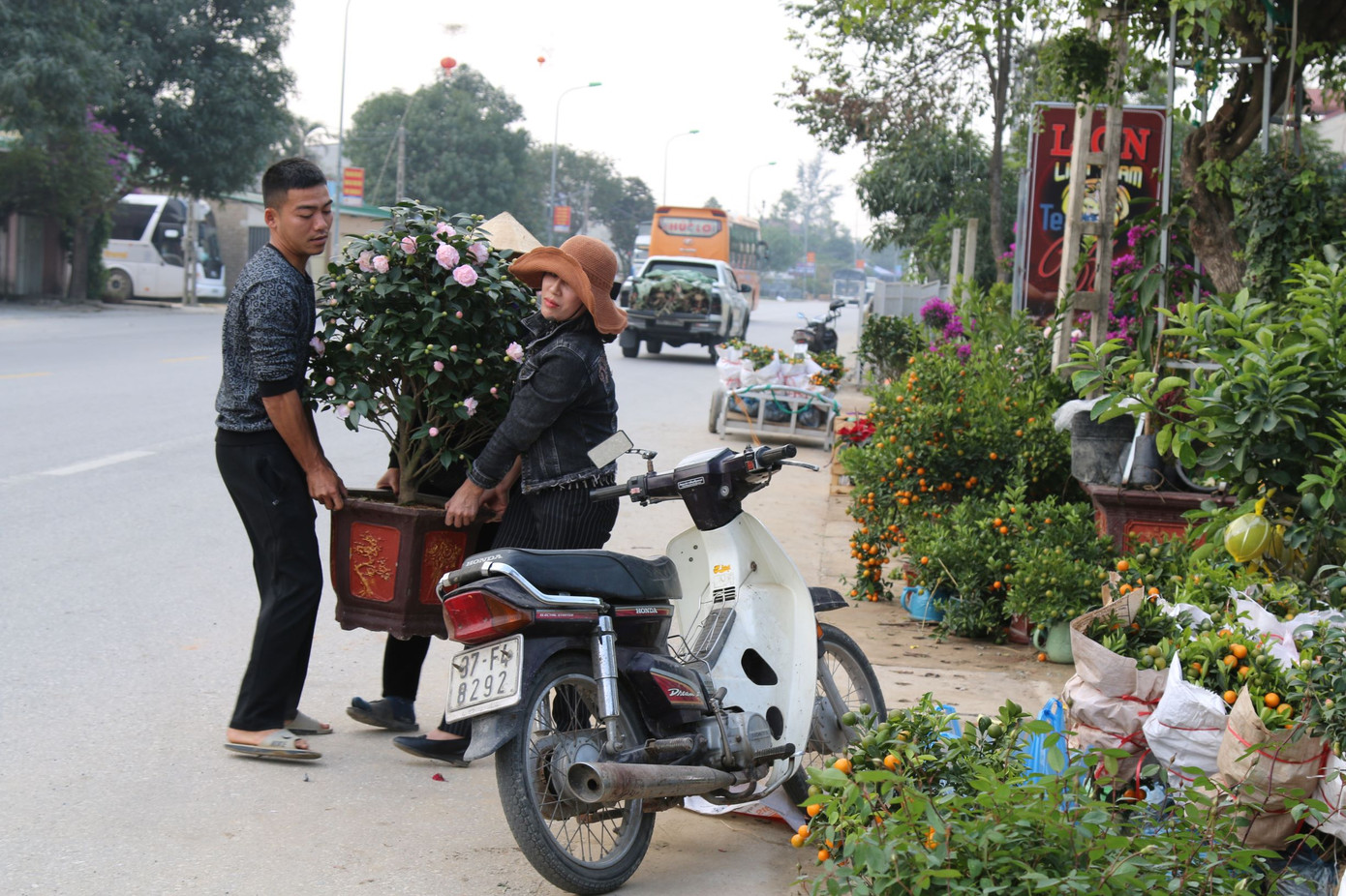 Rực rỡ sắc xuân ở làng hoa lớn nhất thành Vinh ảnh 7