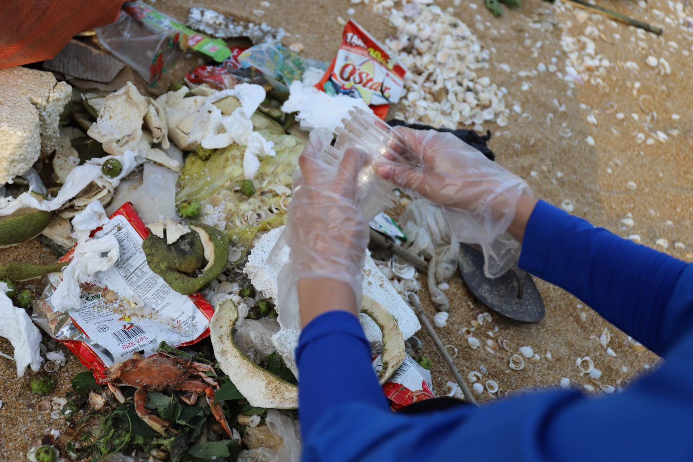 Nhóm thanh niên tình nguyện lên rừng, xuống biển dọn rác ảnh 8
