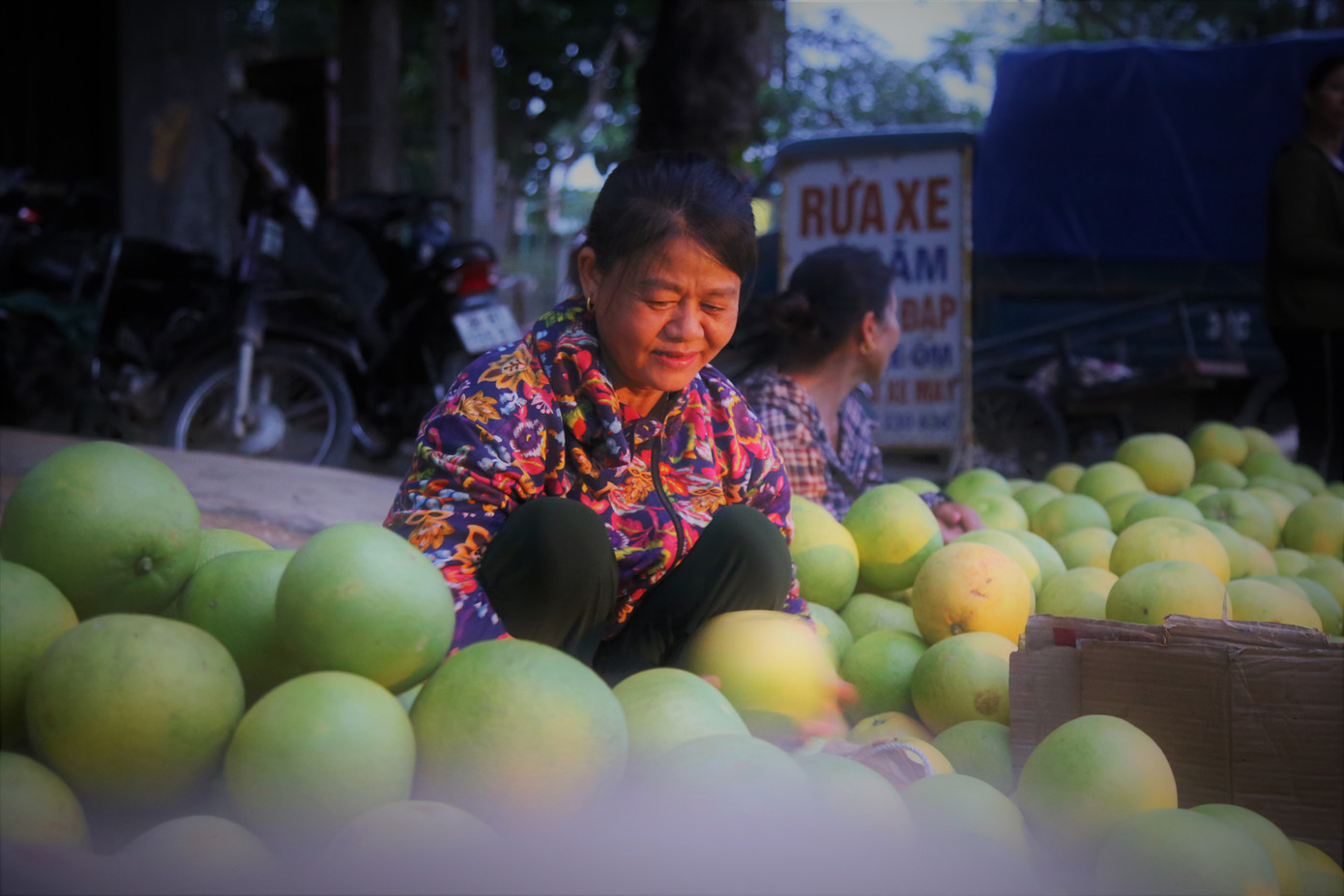 Bưởi đặc sản vào vụ, trăm người soi đèn thức trắng bán ở chợ đêm ảnh 3