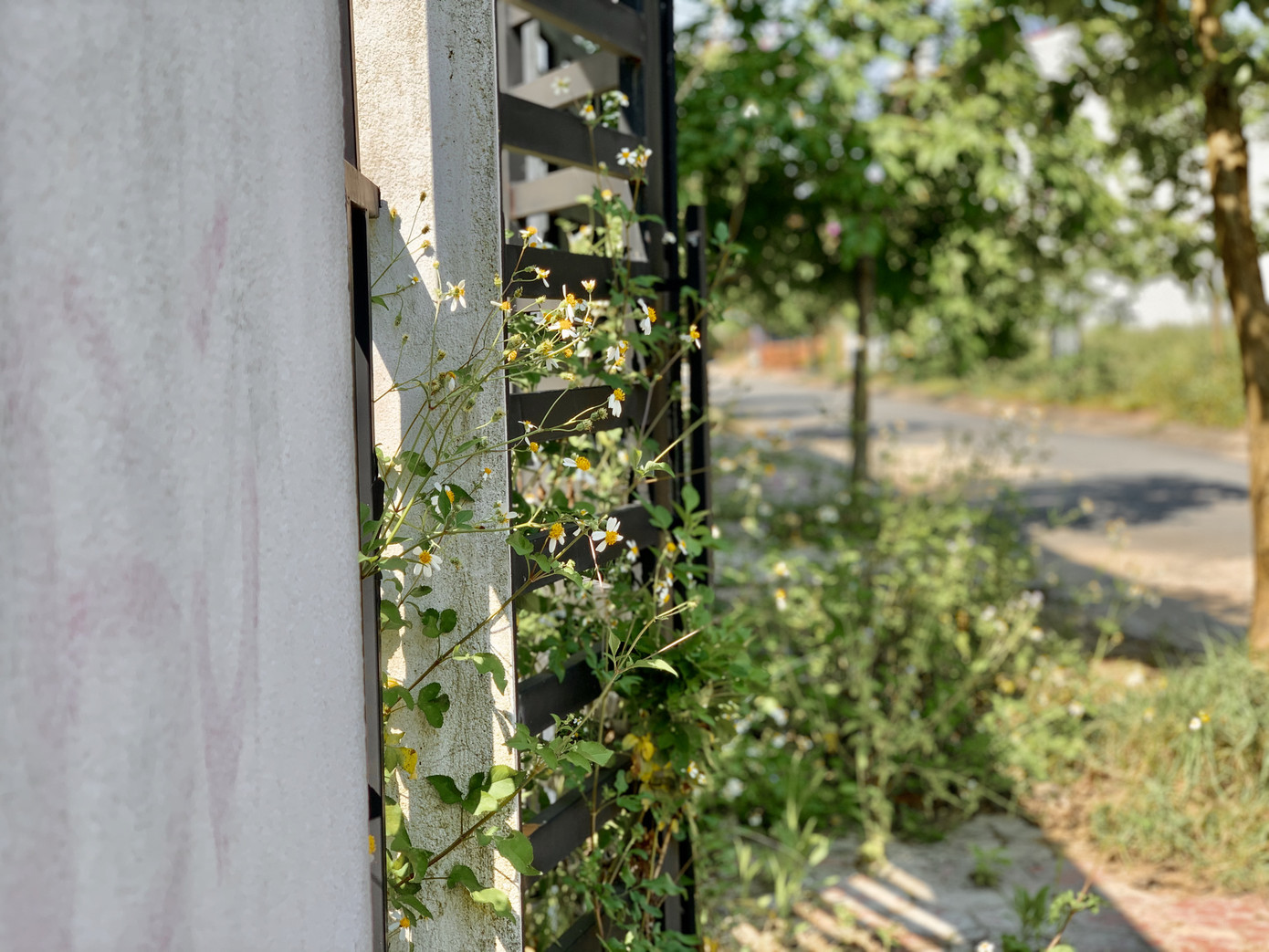  Cảnh nhếch nhác trong khu đô thị 350 tỷ đồng ở Hà Tĩnh bị thanh tra toàn diện ảnh 9