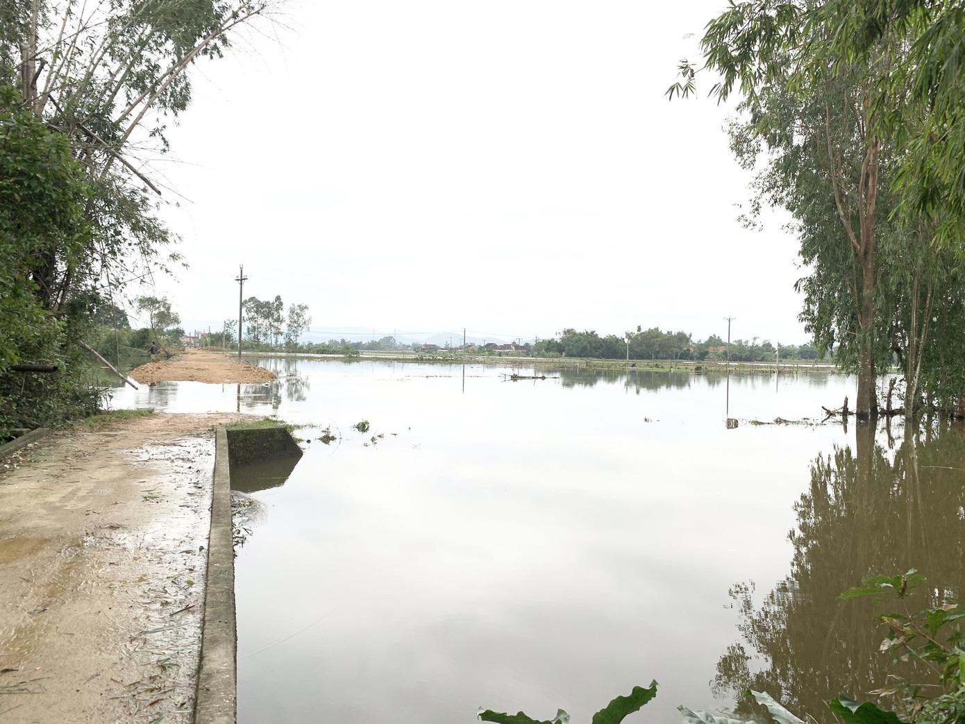 Nam sinh lớp 9 dũng cảm cứu hai bạn học sinh bị rơi xuống dòng nước lũ ảnh 2