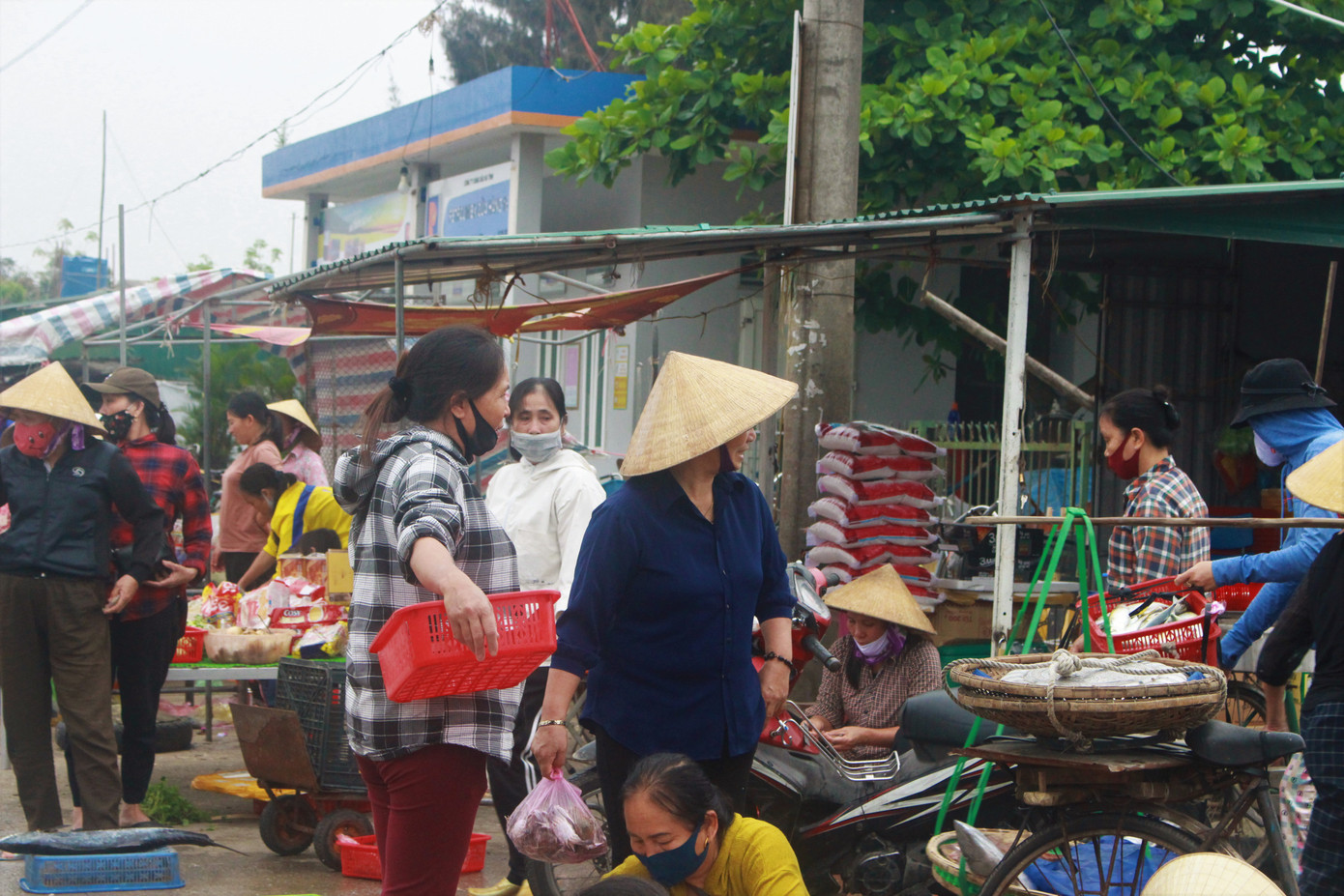 Cảng cá Hà Tĩnh tấp nập người bán, kẻ mua giữa mùa dịch COVID - 19 ảnh 17