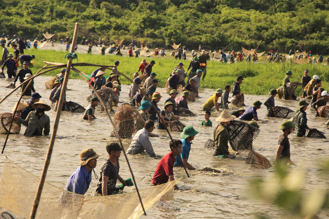 Sau tiếng hô lớn, hàng trăm người dân nhào xuống Đầm Vực bắt cá ảnh 5