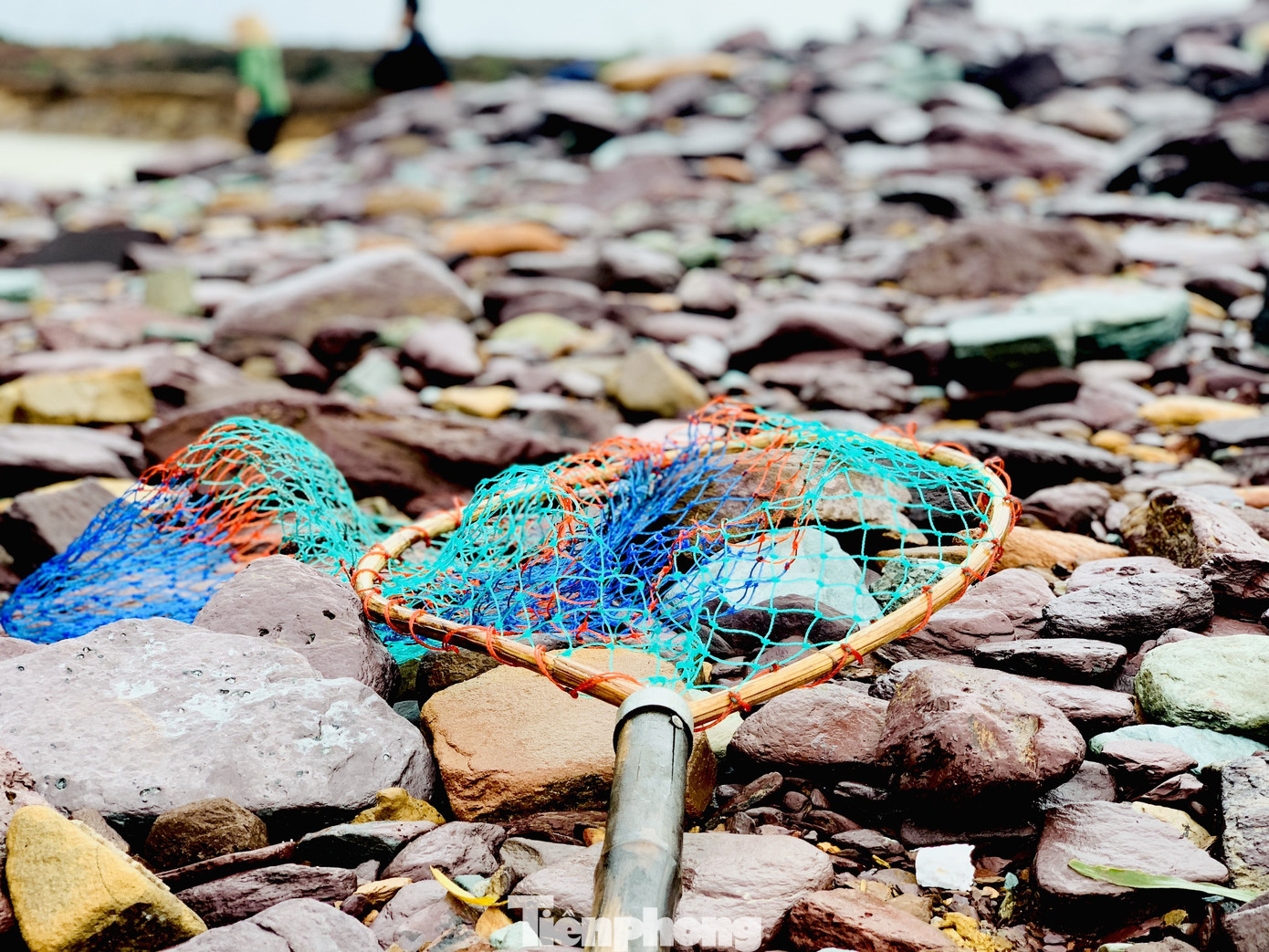 Hàng chục người bất chấp hồ xả lũ vẫn săn bắt cá dưới dòng nước xiết ảnh 13