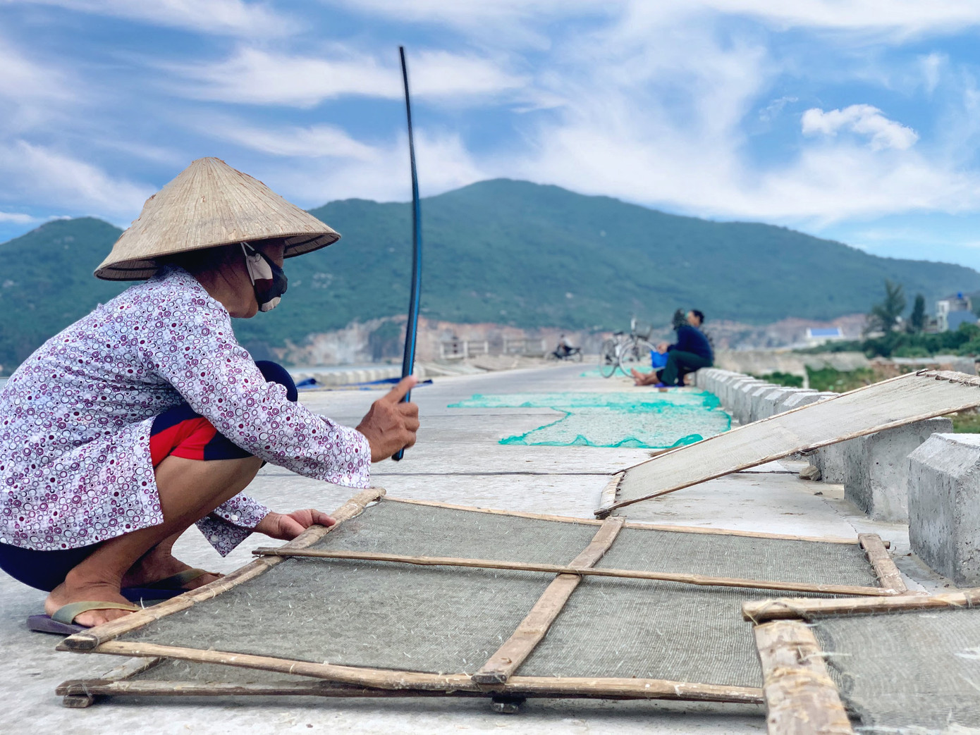 Ngư dân Hà Tĩnh trúng đậm cá cơm, mỗi ngày thu tiền triệu ảnh 10