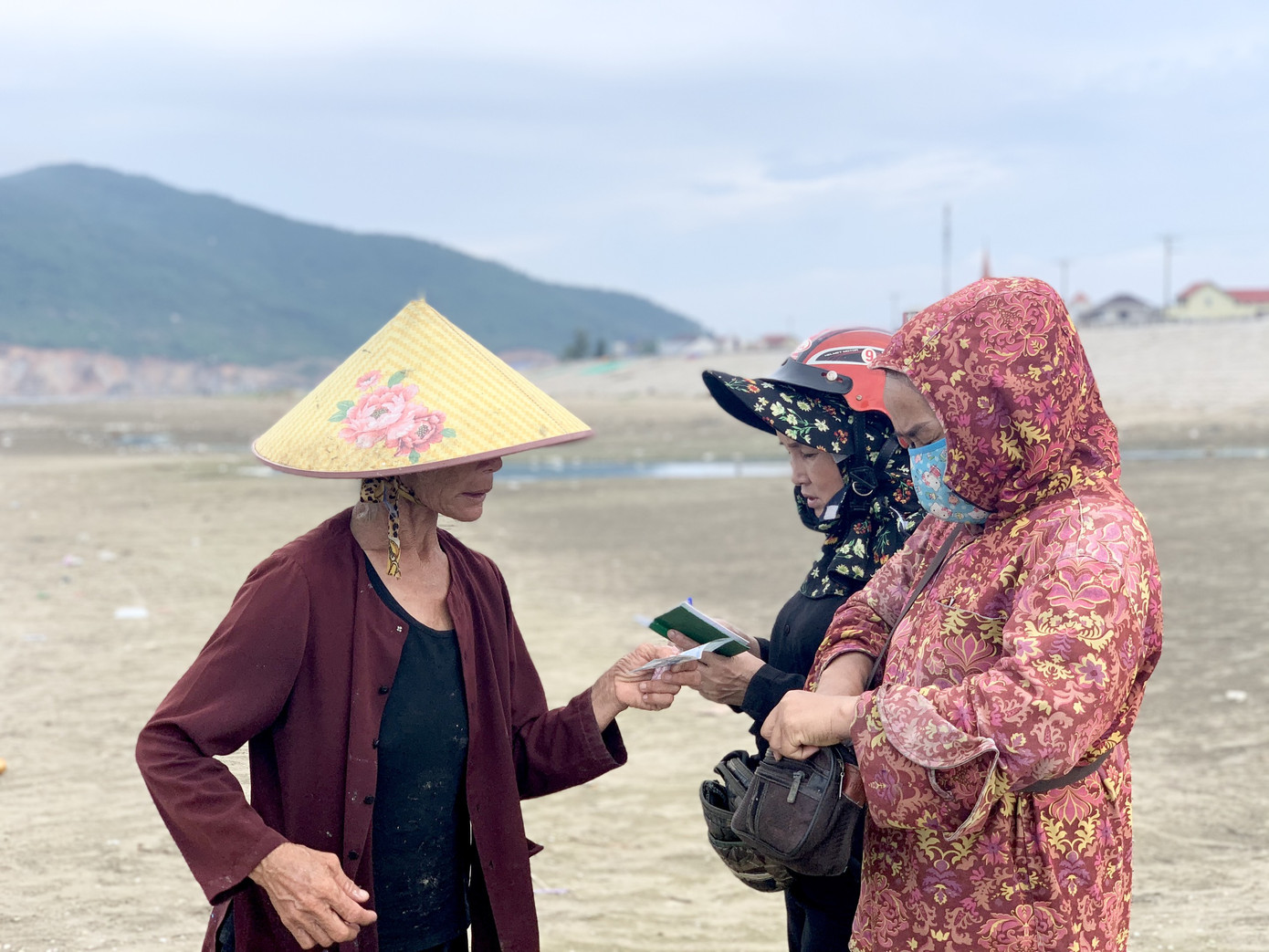 Ngư dân Hà Tĩnh trúng đậm cá cơm, mỗi ngày thu tiền triệu ảnh 7