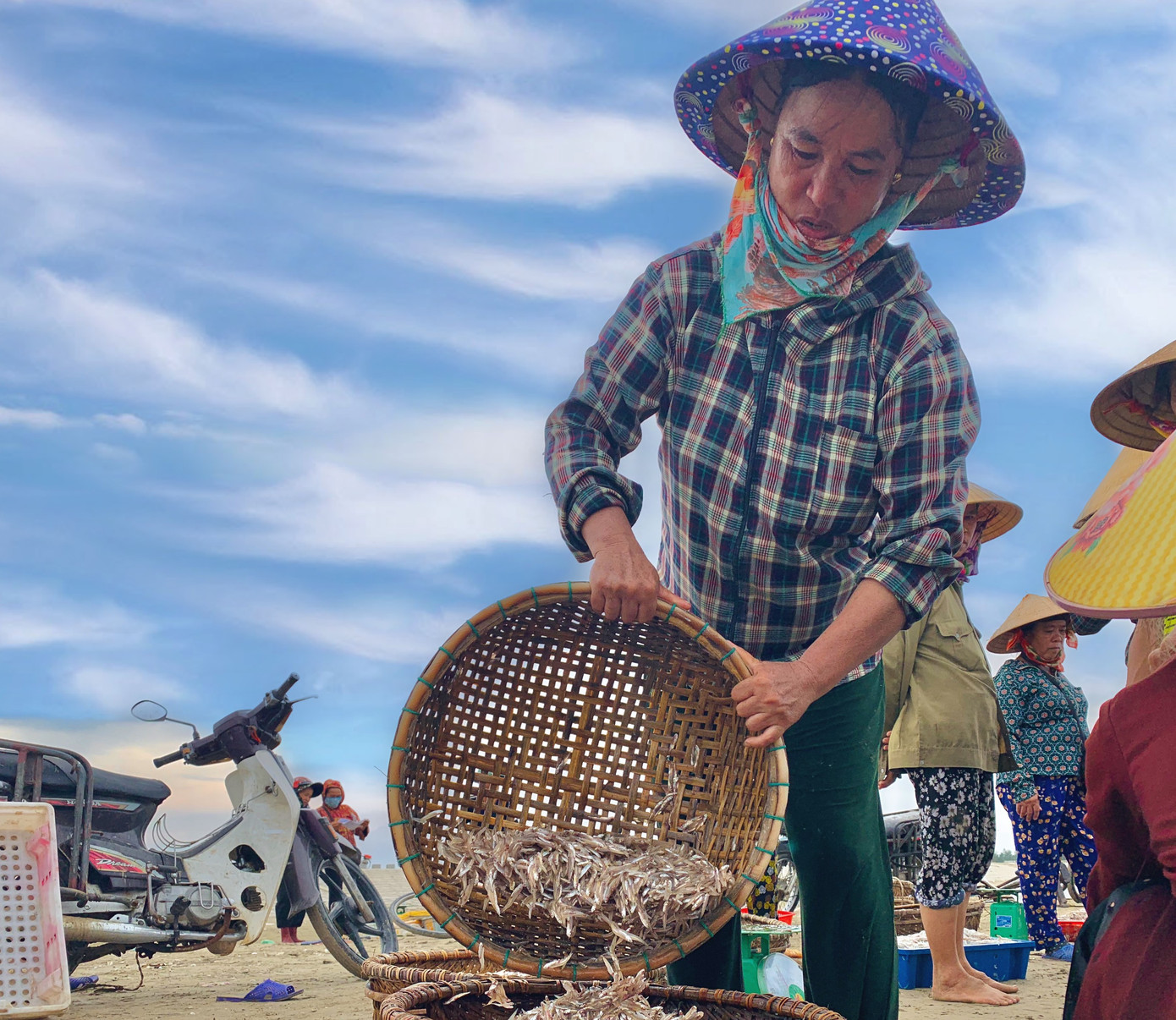 Ngư dân Hà Tĩnh trúng đậm cá cơm, mỗi ngày thu tiền triệu ảnh 3