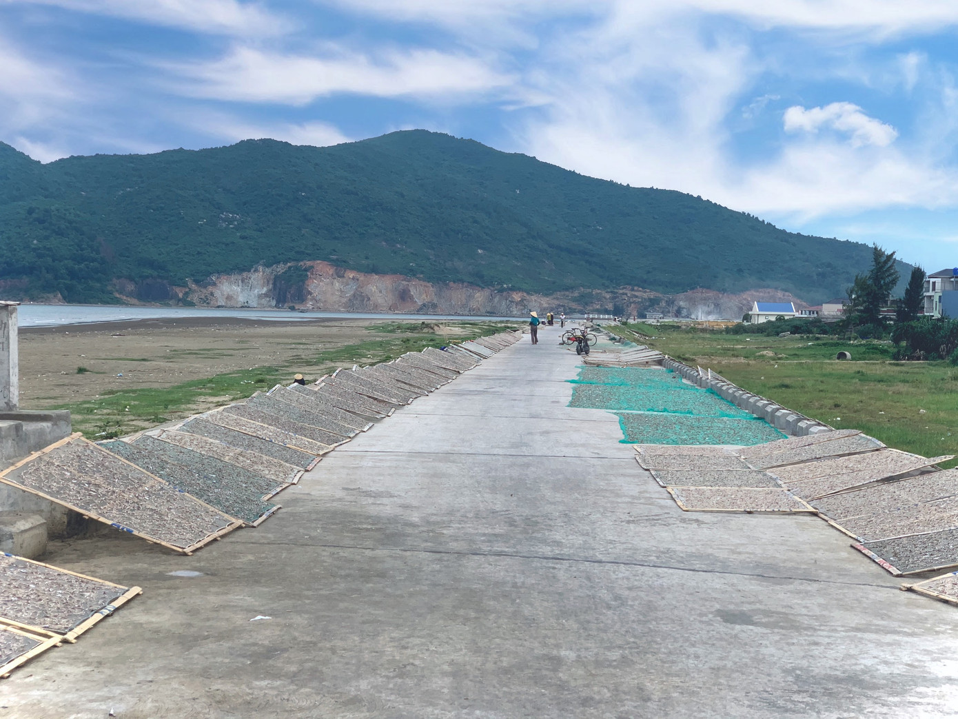 Ngư dân Hà Tĩnh trúng đậm cá cơm, mỗi ngày thu tiền triệu ảnh 16