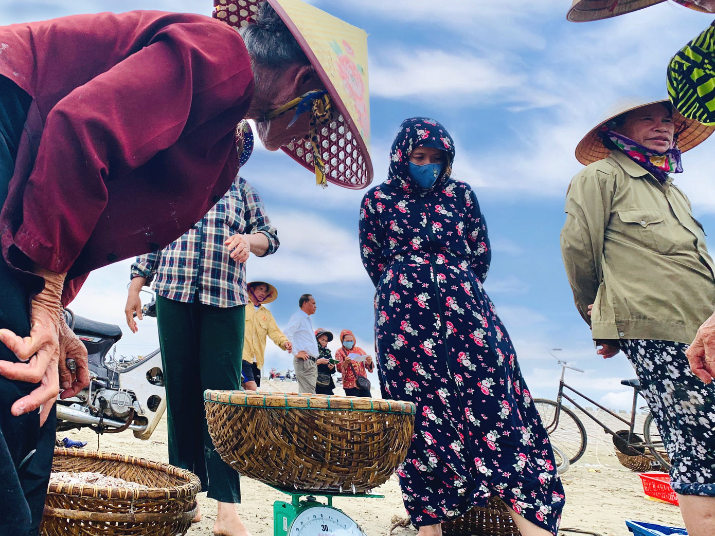 Ngư dân Hà Tĩnh trúng đậm cá cơm, mỗi ngày thu tiền triệu ảnh 2