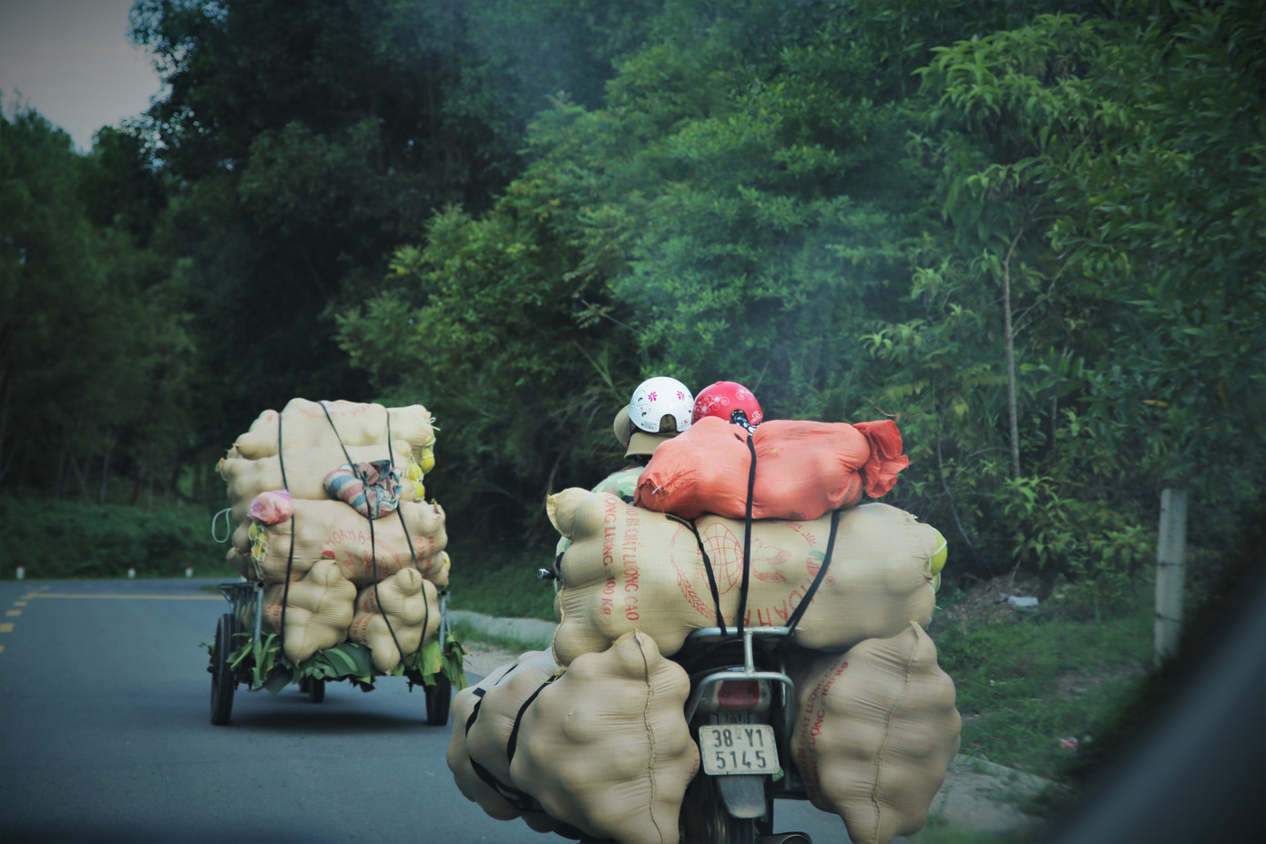 Bưởi đặc sản vào vụ, trăm người soi đèn thức trắng bán ở chợ đêm ảnh 4