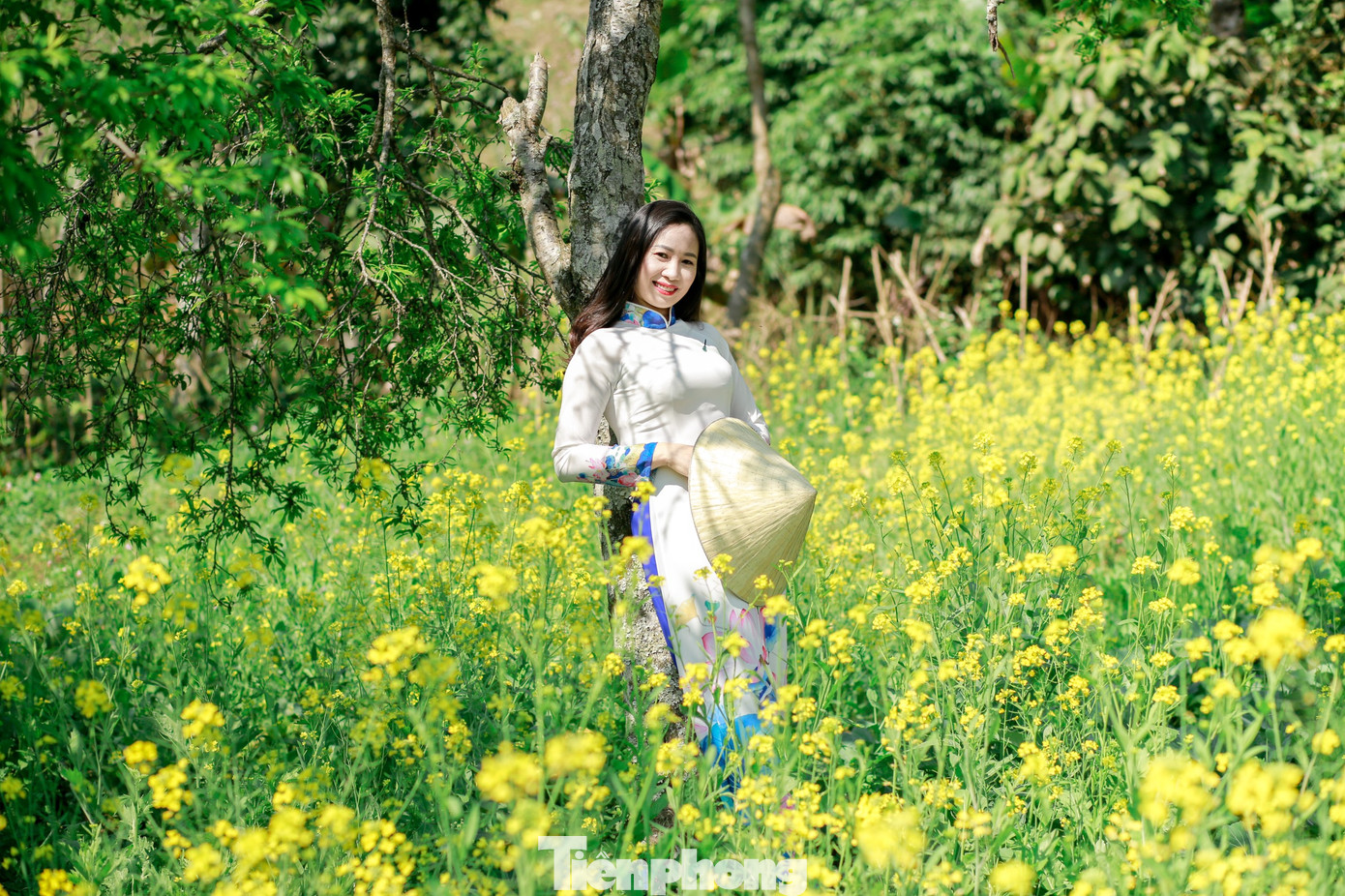 Ngắm tà áo dài thướt tha bên sắc vàng hoa cải nơi độ cao 1500m ảnh 2