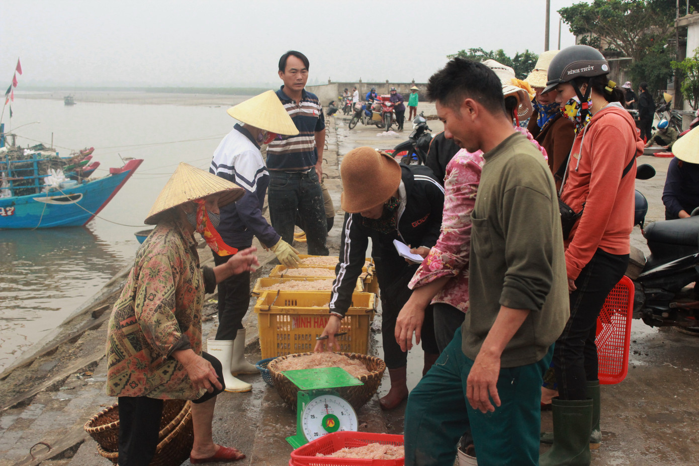 Cảng cá Hà Tĩnh tấp nập người bán, kẻ mua giữa mùa dịch COVID - 19 ảnh 9
