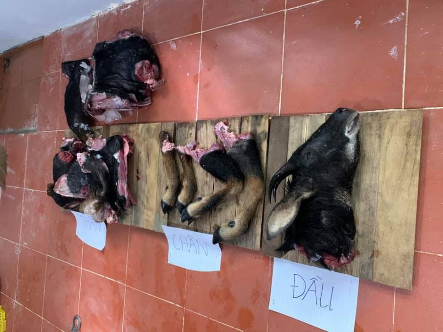 Hai thanh niên lẻn vào vườn quốc gia giết hại sơn dương ảnh 2