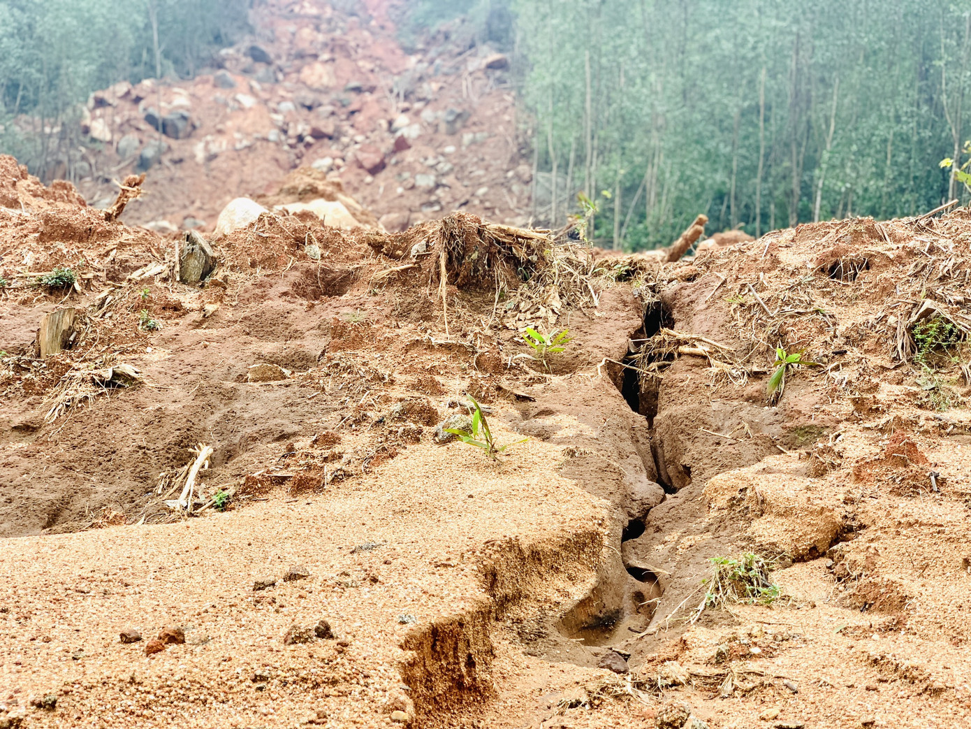  Núi lở, nhiều khối đất đá 'khổng lồ' đổ xuống ruộng ảnh 5