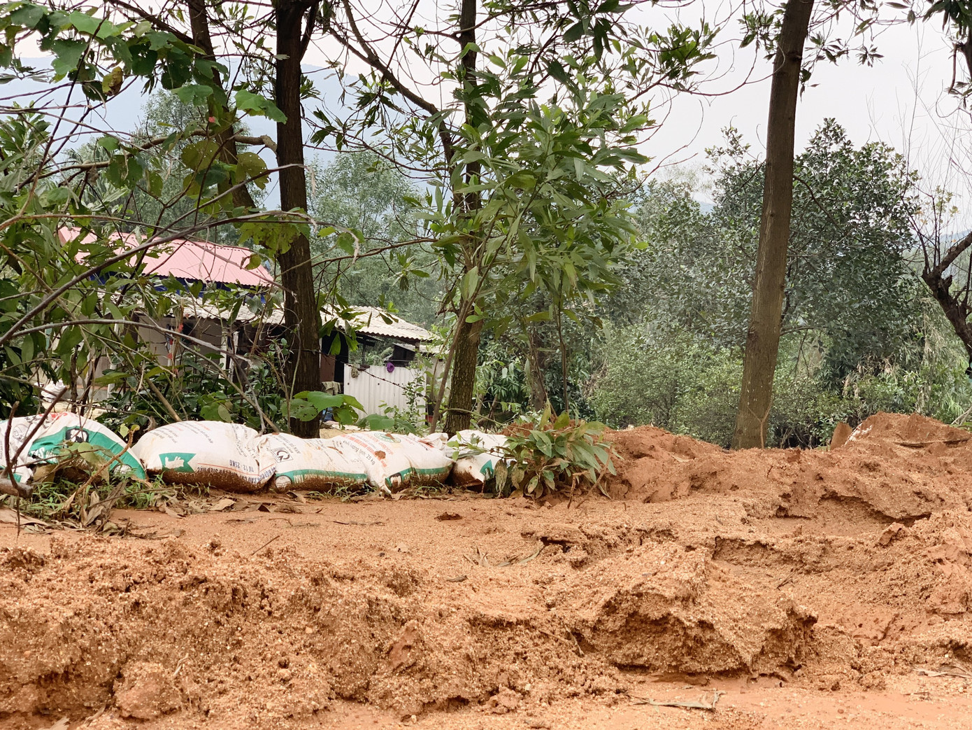  Núi lở, nhiều khối đất đá 'khổng lồ' đổ xuống ruộng ảnh 3