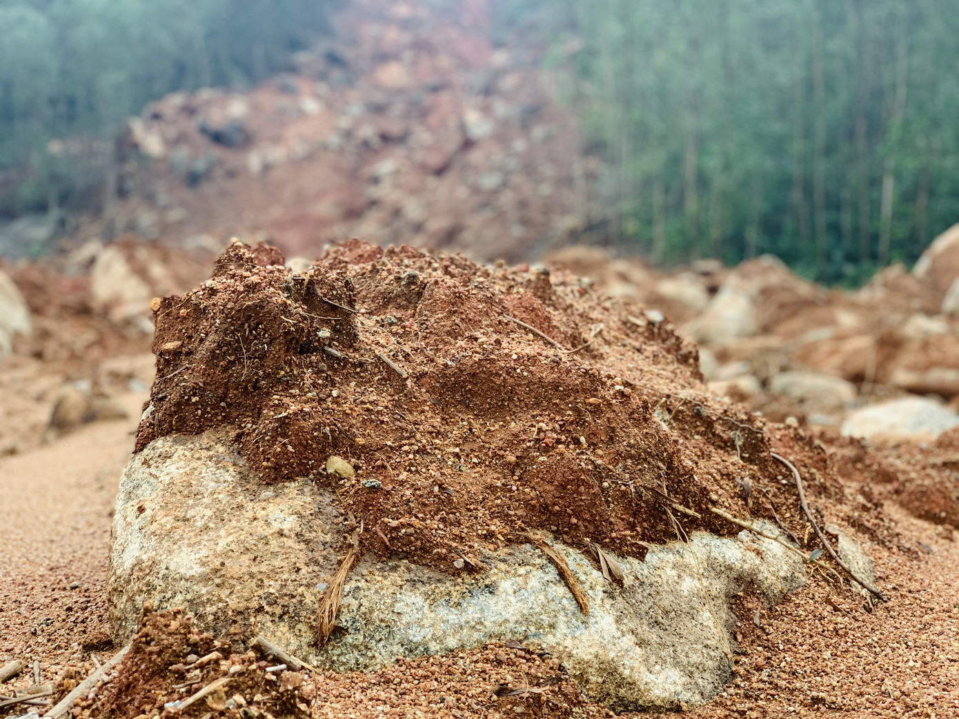  Núi lở, nhiều khối đất đá 'khổng lồ' đổ xuống ruộng ảnh 4