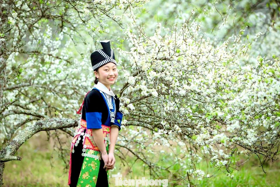Thiếu nữ khoe sắc bên hoa mận nở trắng muốt nơi cổng trời đẹp như tranh ảnh 3