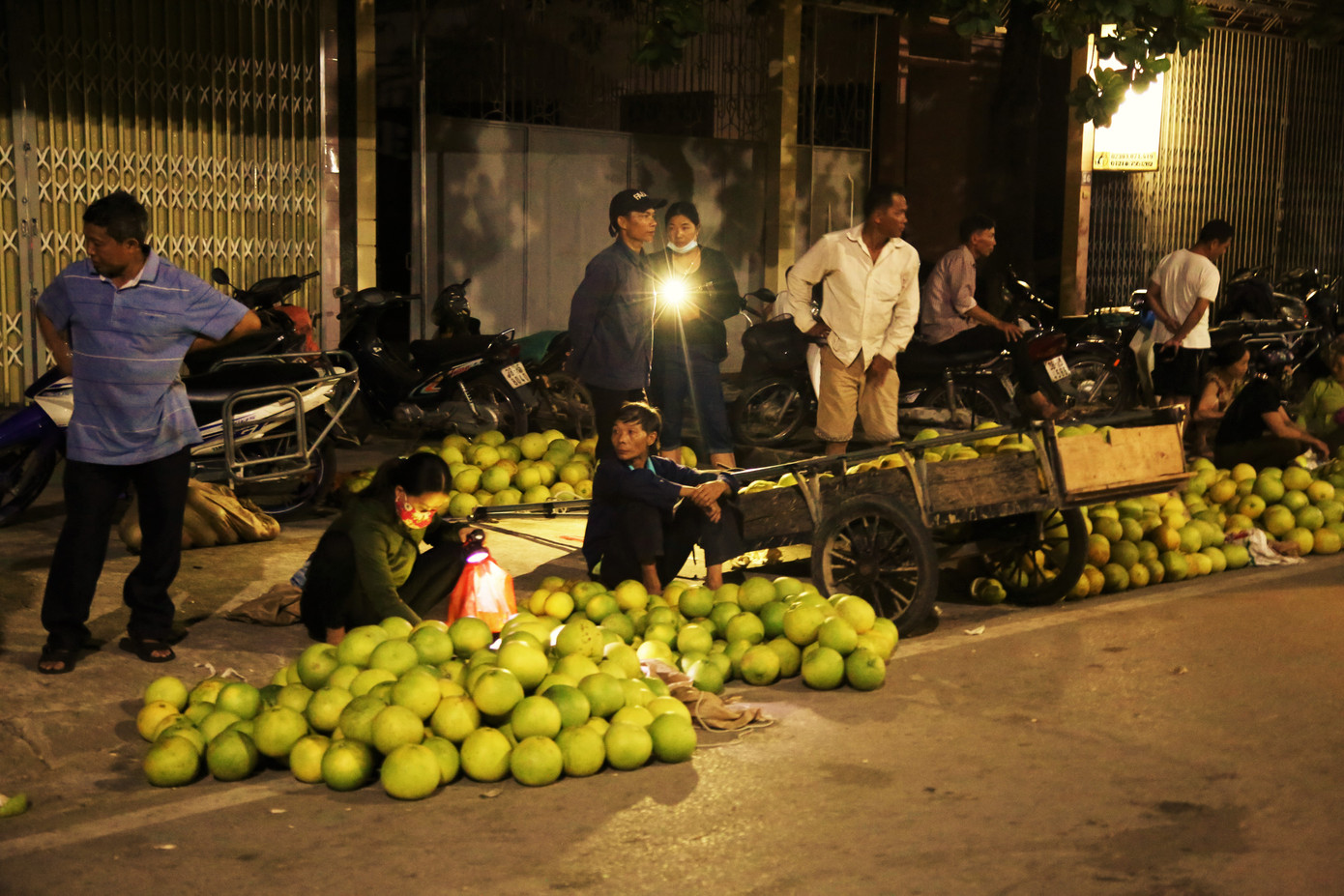 Bưởi đặc sản vào vụ, trăm người soi đèn thức trắng bán ở chợ đêm ảnh 12