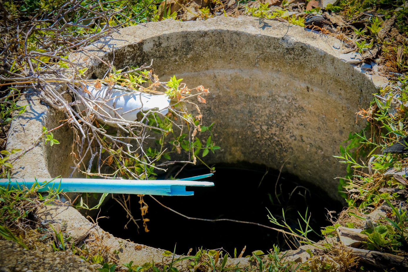 Cảnh hoang tàn tại trung tâm giống chăn nuôi đầu tư gần 20 tỷ đồng ảnh 7