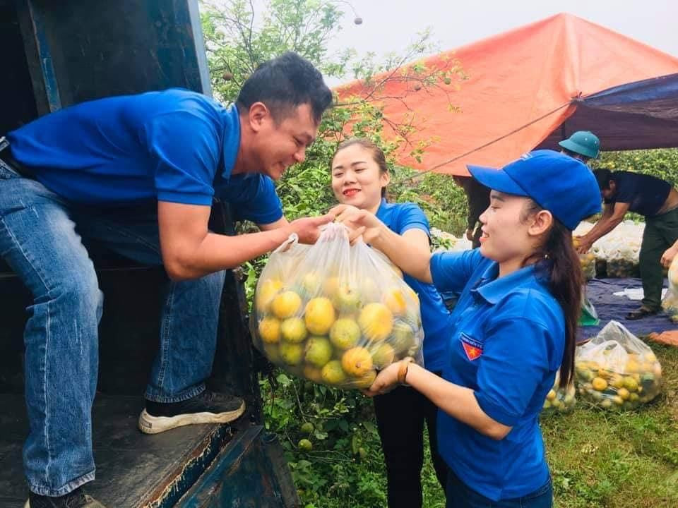 Tuổi trẻ Nghệ An giải cứu hàng tấn quýt cho người dân ảnh 4