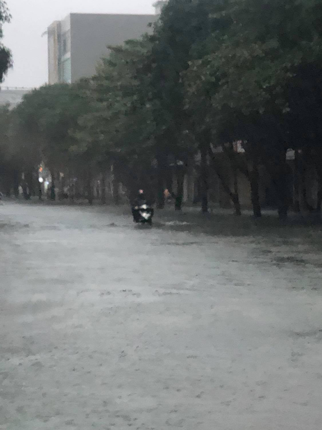 Mưa như trút, thành Vinh ‘thất thủ’ ảnh 6