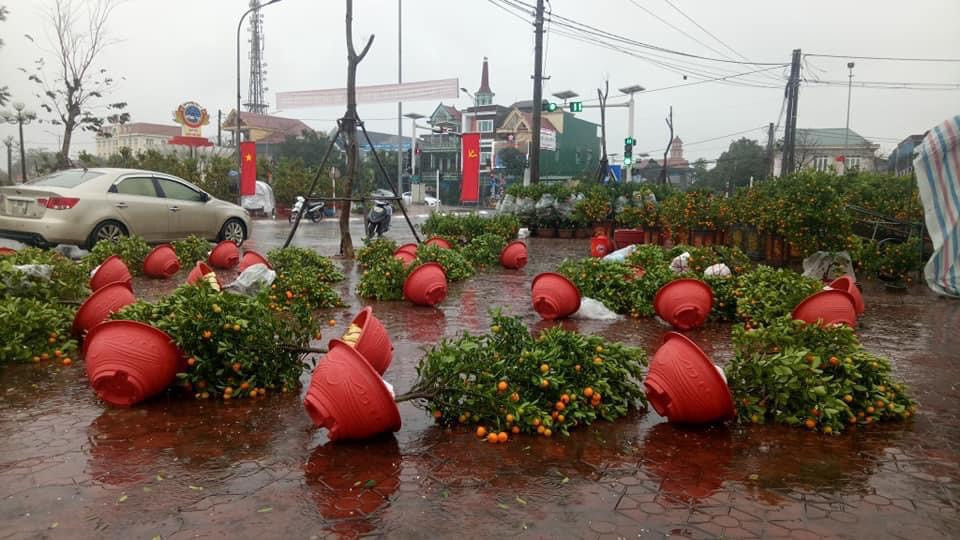 Mưa lớn 28 Tết, quất đào ngã đổ, tiểu thương Hà Tĩnh 'khóc ròng' ảnh 9