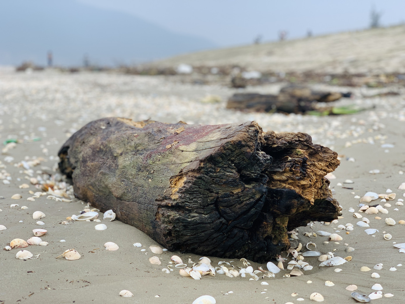 Sau mưa lũ, rác chất đống dọc bờ biển Hà Tĩnh ảnh 8