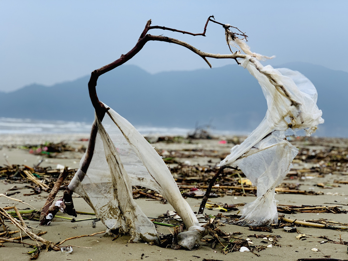 Sau mưa lũ, rác chất đống dọc bờ biển Hà Tĩnh ảnh 7